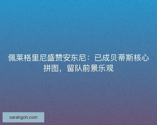 佩莱格里尼盛赞安东尼：已成贝蒂斯核心拼图，留队前景乐观