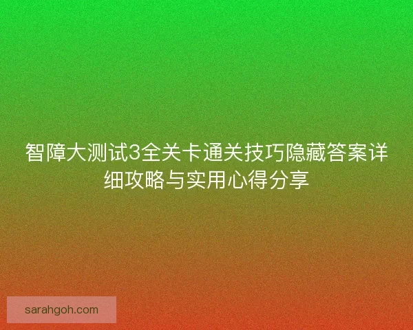 智障大测试3全关卡通关技巧隐藏答案详细攻略与实用心得分享