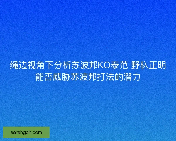 绳边视角下分析苏波邦KO泰范 野杁正明能否威胁苏波邦打法的潜力 绳边视角下分析苏波邦KO泰范 野杁正明能否威胁苏波邦打法的潜力