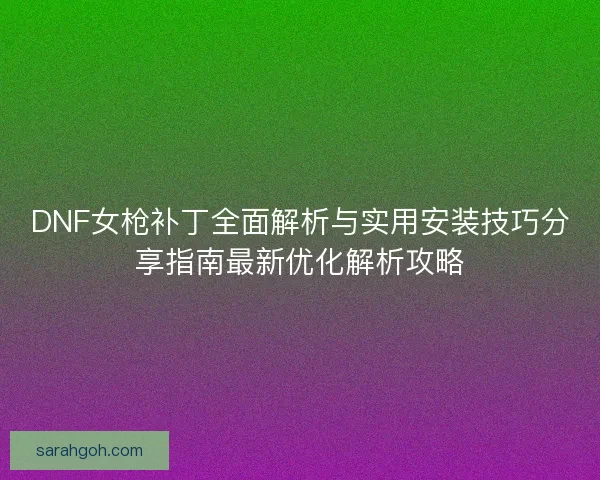 DNF女枪补丁全面解析与实用安装技巧分享指南最新优化解析攻略