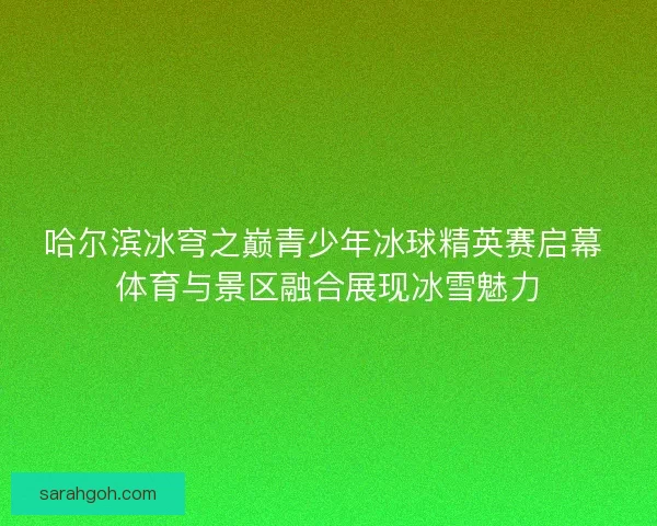 哈尔滨冰穹之巅青少年冰球精英赛启幕 体育与景区融合展现冰雪魅力