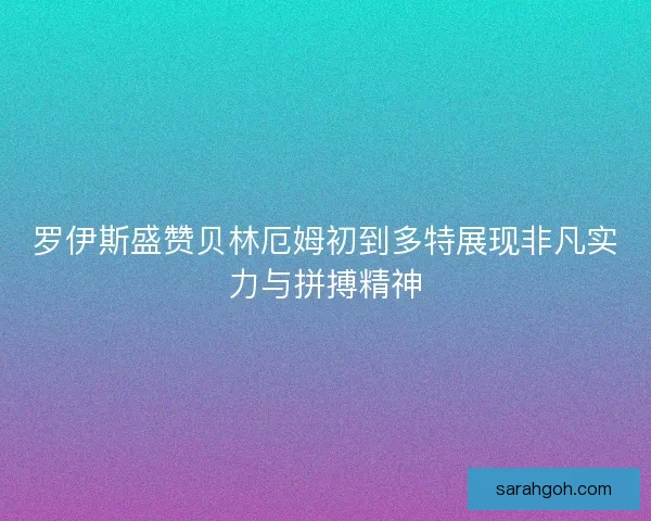 罗伊斯盛赞贝林厄姆初到多特展现非凡实力与拼搏精神