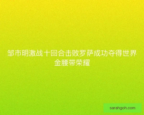 邹市明激战十回合击败罗萨成功夺得世界金腰带荣耀