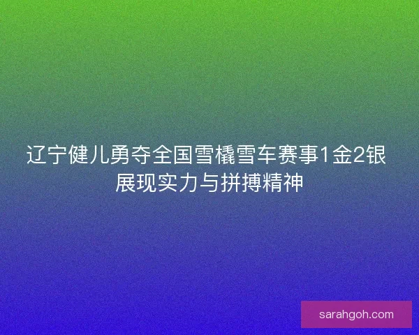 辽宁健儿勇夺全国雪橇雪车赛事1金2银 展现实力与拼搏精神