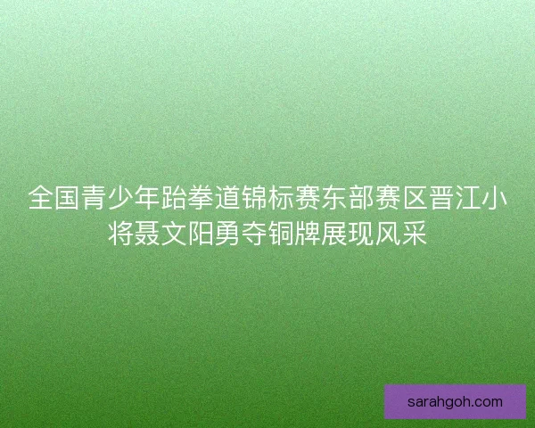 全国青少年跆拳道锦标赛东部赛区晋江小将聂文阳勇夺铜牌展现风采